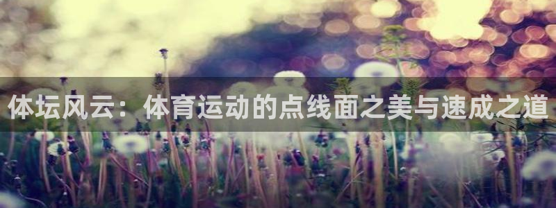 熊猫体育直播：体坛风云：体育运动的点线面之美与速成之道