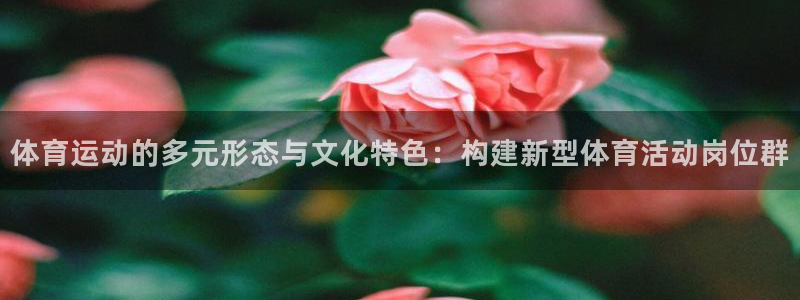 熊猫体育平台官网：体育运动的多元形态与文化特色：构建新型体育活动岗位群
