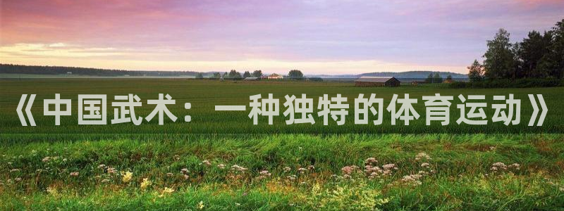 熊猫体育怎么样：《中国武术：一种独特的体育运动》