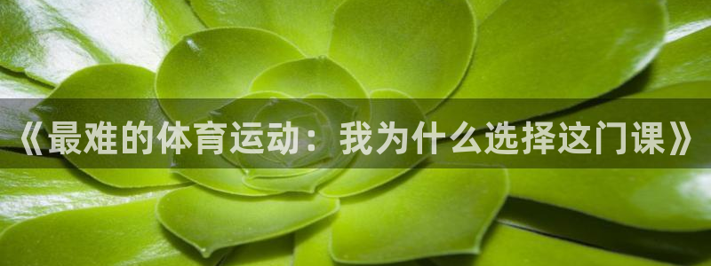 熊猫体育网址：《最难的体育运动：我为什么选择这门课》