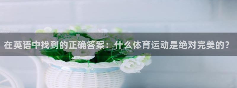 熊猫体育公园：在英语中找到的正确答案：什么体育运动是绝对完美的？