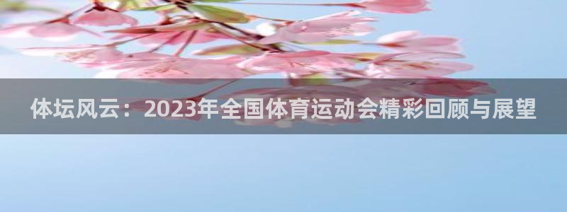 熊猫体育网站：体坛风云：2023年全国体育运动会精彩回顾与展望