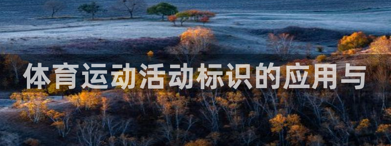 熊猫体育在线观看：体育运动活动标识的应用与
