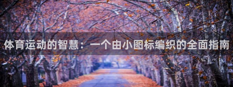 熊猫体育在线：体育运动的智慧：一个由小图标编织的全面指南
