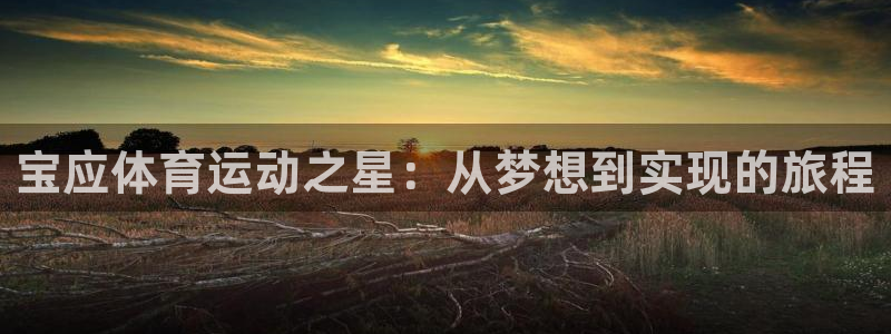 熊猫体育网站：宝应体育运动之星：从梦想到实现的旅程