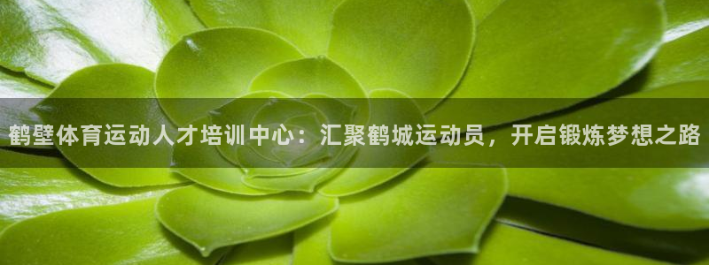 熊猫体育公园：鹤壁体育运动人才培训中心：汇聚鹤城运动员，开启锻炼梦想之路