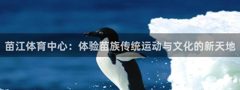 成都熊猫体育公园：苗江体育中心：体验苗族传统运动与文化的新天地