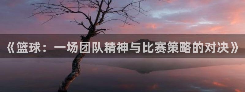 成都金熊猫体育：《篮球：一场团队精神与比赛策略的对决》