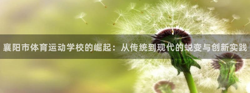 熊猫体育v3.新网页.org：襄阳市体育运动学校的崛起：从传统到现代的蜕变与创新实践