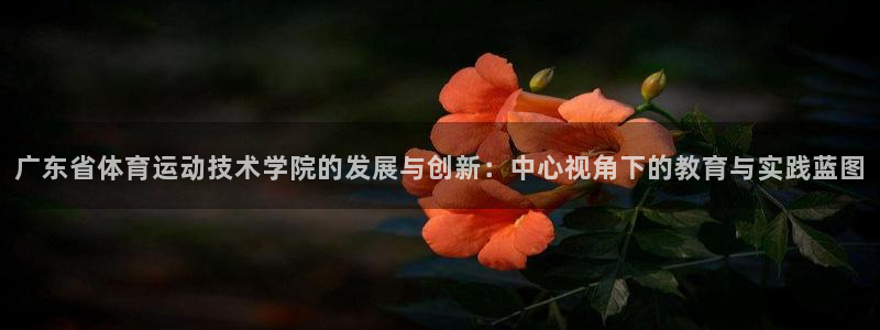 熊猫体育网站：广东省体育运动技术学院的发展与创新：中心视角下的教育与实践蓝图