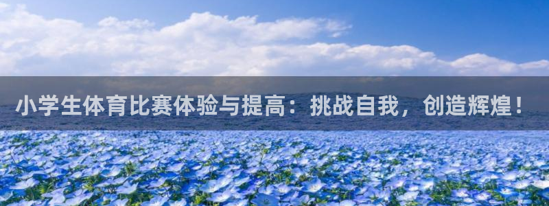 熊猫体育平台官网：小学生体育比赛体验与提高：挑战自我，创造辉煌！